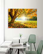 Obraz Jeseň pani bohatá zs1200